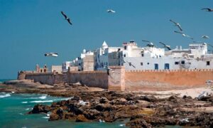 Viagem De Um Dia A Essaouira